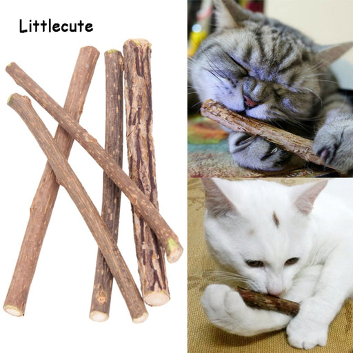 Pure Natural Cat Toy Molar Toothpaste